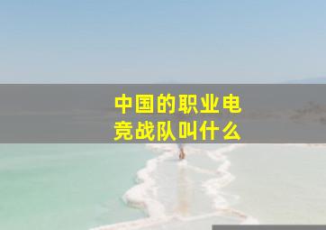 中国的职业电竞战队叫什么