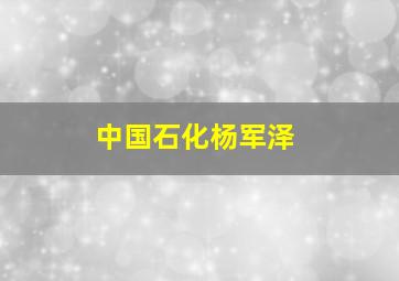 中国石化杨军泽