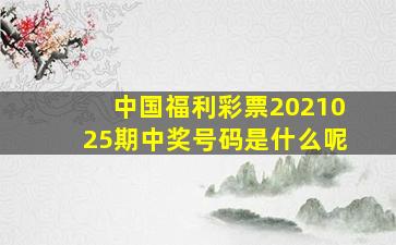 中国福利彩票2021025期中奖号码是什么呢