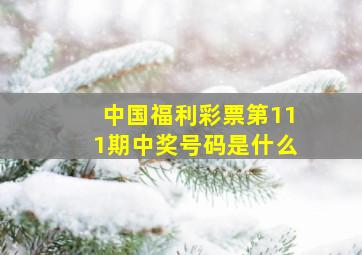 中国福利彩票第111期中奖号码是什么