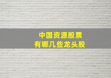 中国资源股票有哪几些龙头股