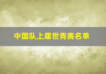 中国队上届世青赛名单