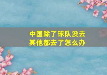 中国除了球队没去其他都去了怎么办