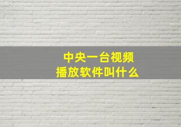 中央一台视频播放软件叫什么