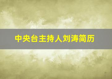 中央台主持人刘涛简历