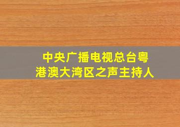 中央广播电视总台粤港澳大湾区之声主持人