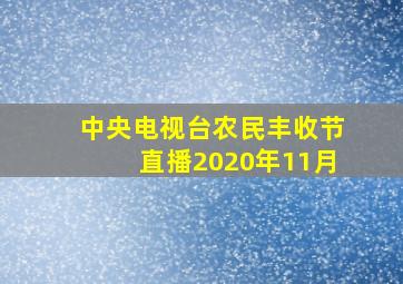 中央电视台农民丰收节直播2020年11月