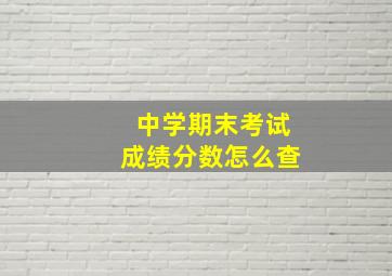 中学期末考试成绩分数怎么查