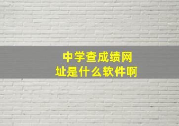 中学查成绩网址是什么软件啊