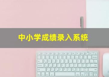 中小学成绩录入系统