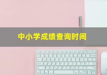 中小学成绩查询时间