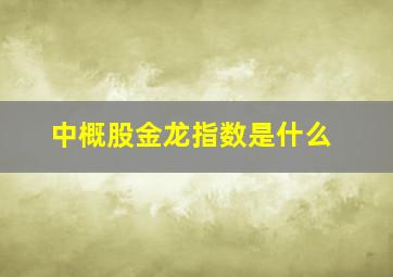 中概股金龙指数是什么