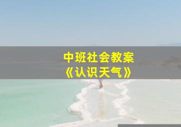 中班社会教案《认识天气》