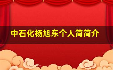 中石化杨旭东个人简简介