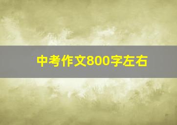 中考作文800字左右