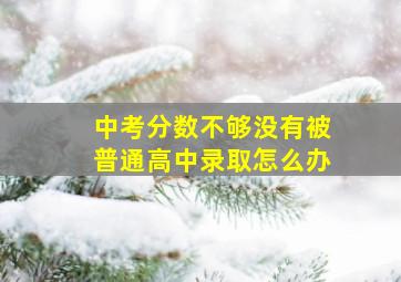 中考分数不够没有被普通高中录取怎么办