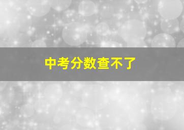 中考分数查不了