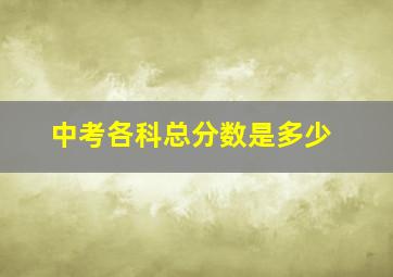 中考各科总分数是多少