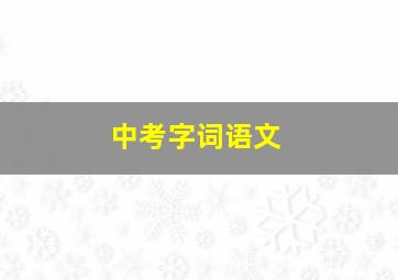 中考字词语文