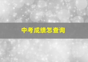 中考成绩怎查询