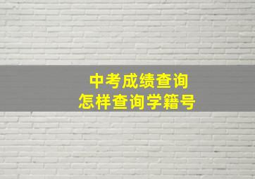 中考成绩查询怎样查询学籍号