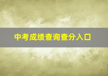 中考成绩查询查分入口