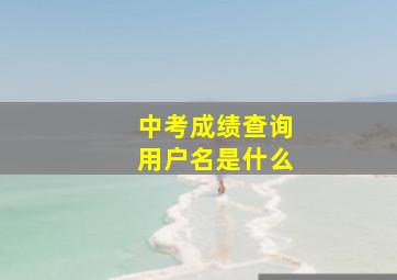 中考成绩查询用户名是什么