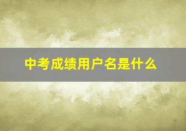 中考成绩用户名是什么