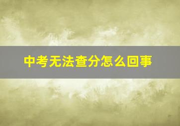 中考无法查分怎么回事