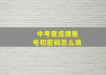 中考查成绩账号和密码怎么填