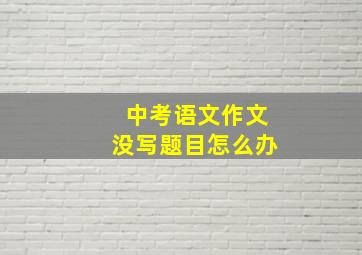 中考语文作文没写题目怎么办