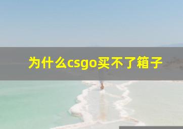 为什么csgo买不了箱子