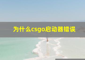 为什么csgo启动器错误