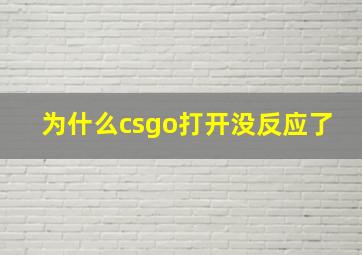 为什么csgo打开没反应了