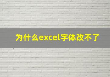 为什么excel字体改不了