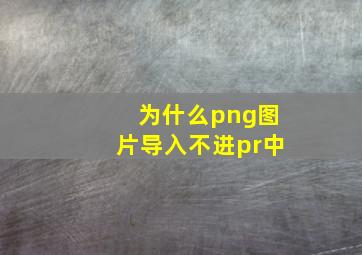 为什么png图片导入不进pr中