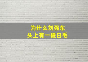 为什么刘强东头上有一撮白毛