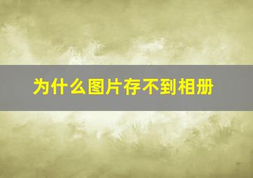 为什么图片存不到相册