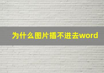 为什么图片插不进去word