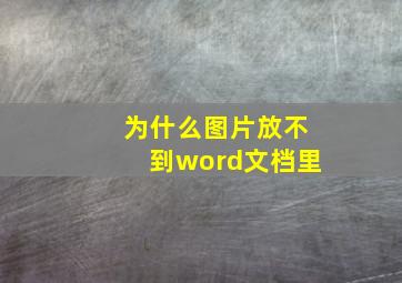 为什么图片放不到word文档里