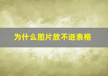 为什么图片放不进表格