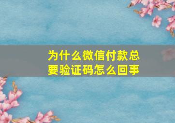 为什么微信付款总要验证码怎么回事