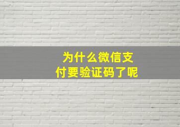 为什么微信支付要验证码了呢