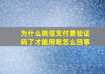 为什么微信支付要验证码了才能用呢怎么回事