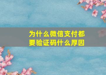 为什么微信支付都要验证码什么厚因