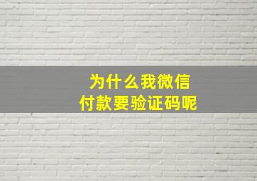 为什么我微信付款要验证码呢