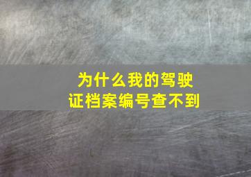 为什么我的驾驶证档案编号查不到