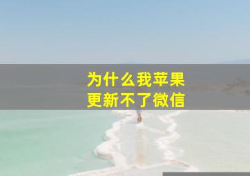 为什么我苹果更新不了微信