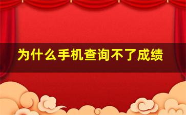 为什么手机查询不了成绩