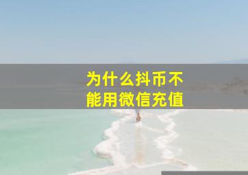 为什么抖币不能用微信充值